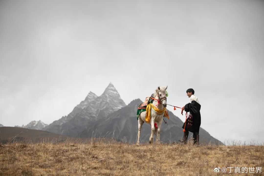 看着从小生活在藏地的丁真,在即将20岁的时候要踏
