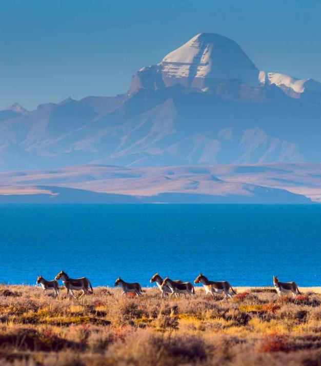 绿色发展示范案例109国家生态文明建设示范区西藏自治区阿里地区