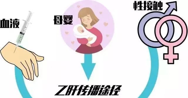 鑫医话健康阻断乙肝病毒母婴传播大小三阳孕妈看过来