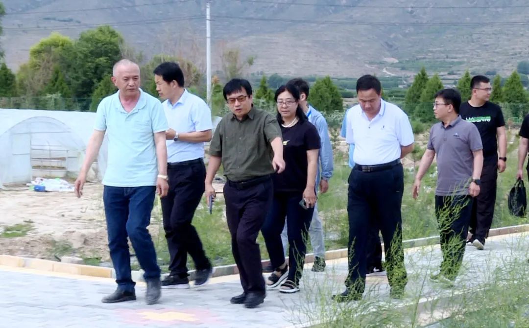 县长胡洋的陪同下,先后来到恒德源农业发展有限公司,阿里数字乡村临洮