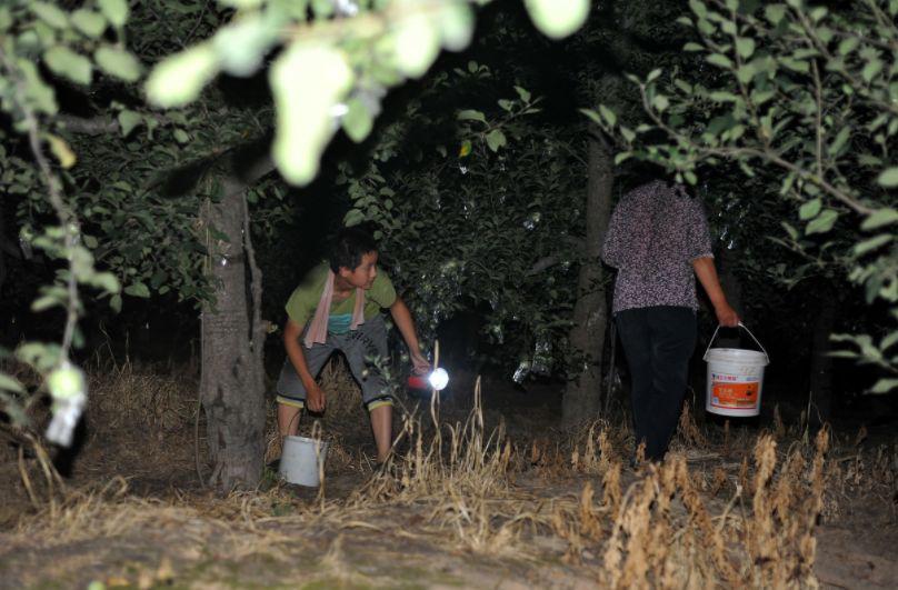 天黑后徐州人最爱的钻树林活动开始了