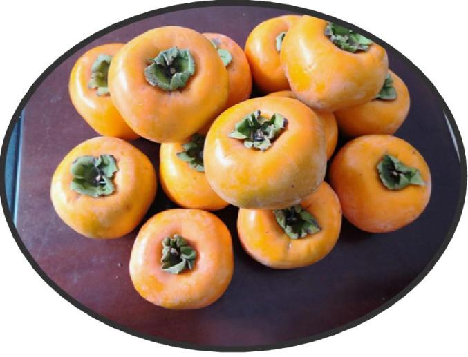 美滋滋我区首个农产品地理标志骑岸大方柿证书正式颁发