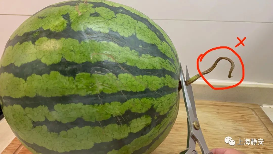 夏日炎炎,你吃西瓜了吗?