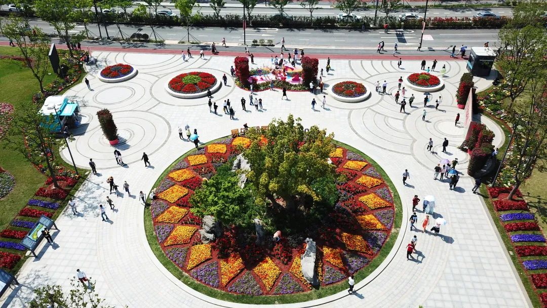 又双叒获奖啦奉贤的这些花坛花境在全市公园园艺展示活动中囊括数项