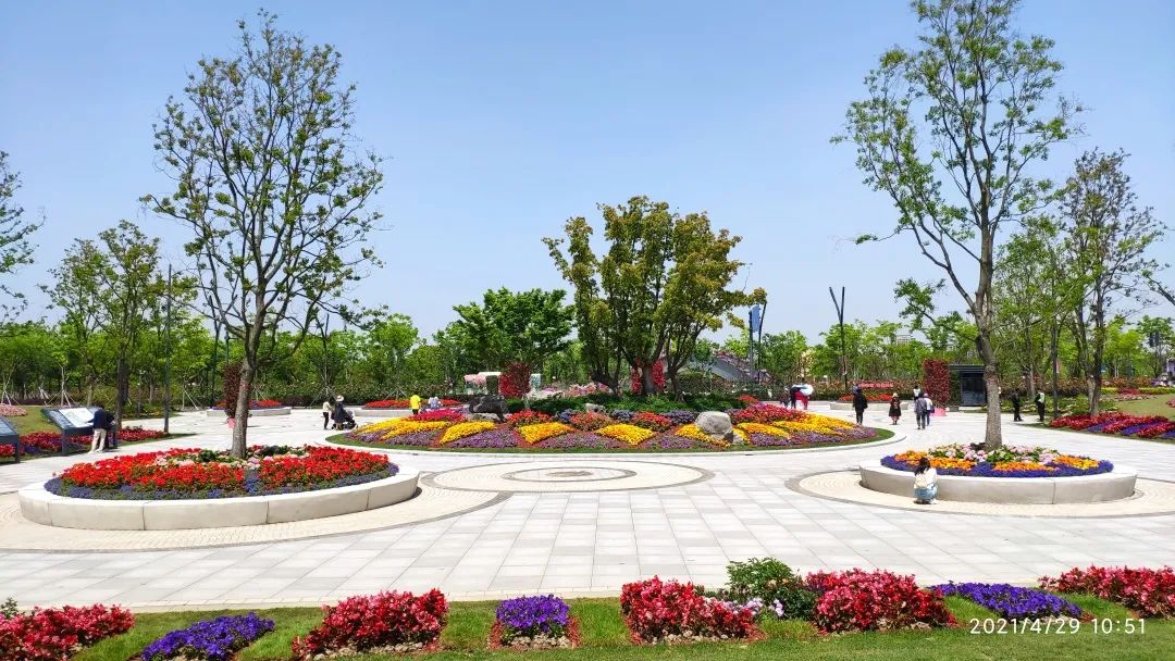 又双叒获奖啦奉贤的这些花坛花境在全市公园园艺展示活动中囊括数项