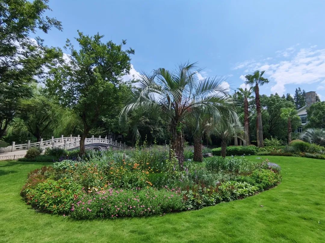 又双叒获奖啦奉贤的这些花坛花境在全市公园园艺展示活动中囊括数项