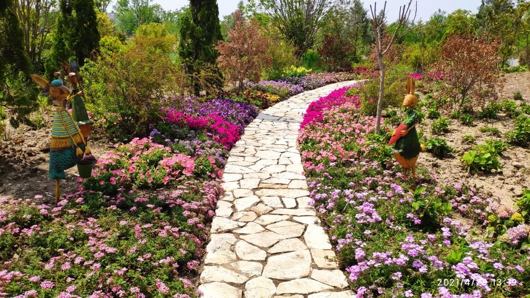 又双叒获奖啦奉贤的这些花坛花境在全市公园园艺展示