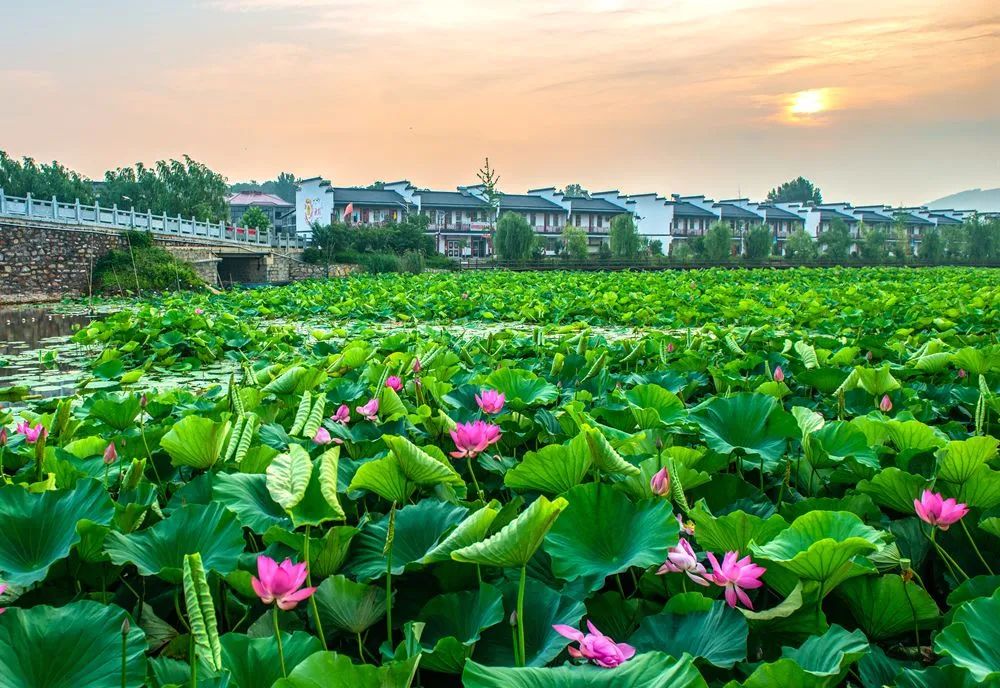 徐州市楼山湾风景区图片