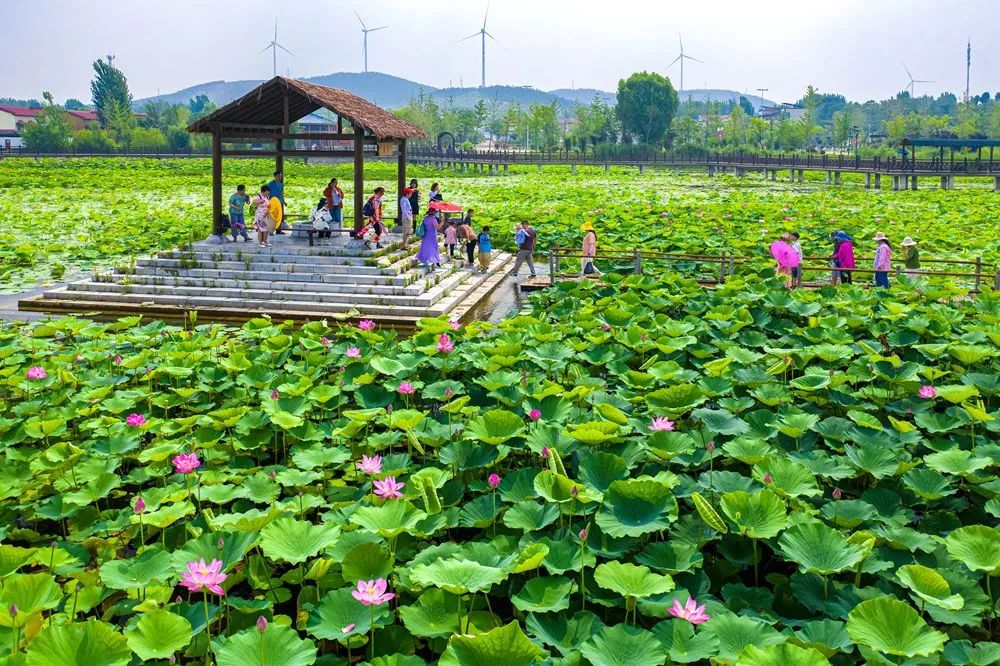 楼山湾风景区图片