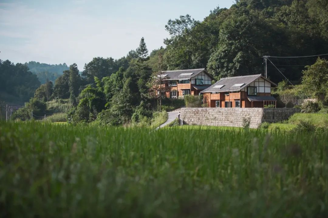 《稻香》里的乡野稻田藏着儿时夏天,这家民宿来过就不想离开!
