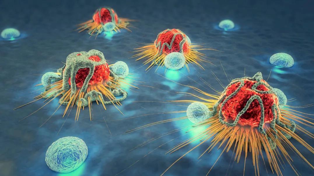 癌细胞演变模型，可预测癌症进化特征