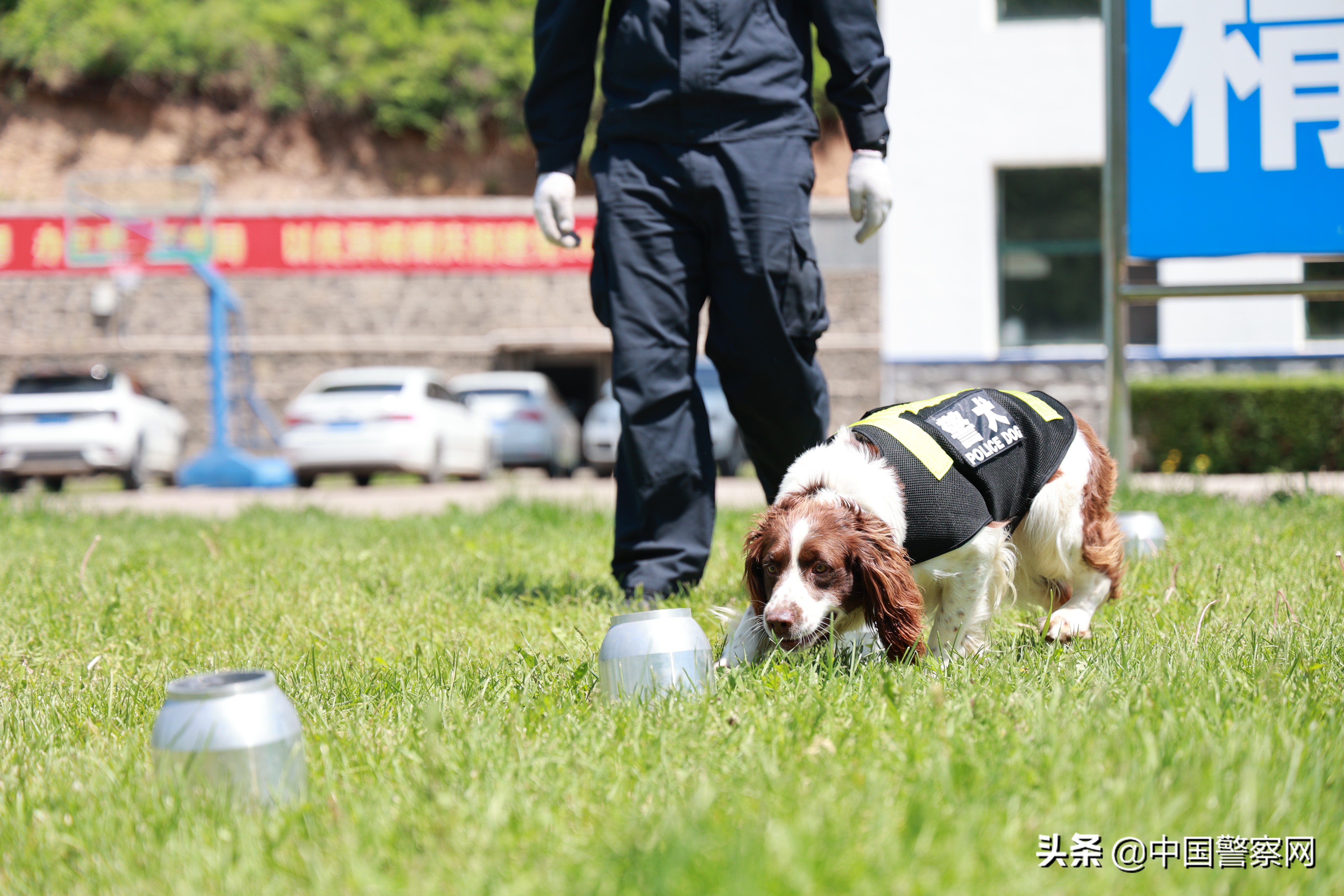 风雨兼程,并肩战斗 民警和无言的战友守护在边境