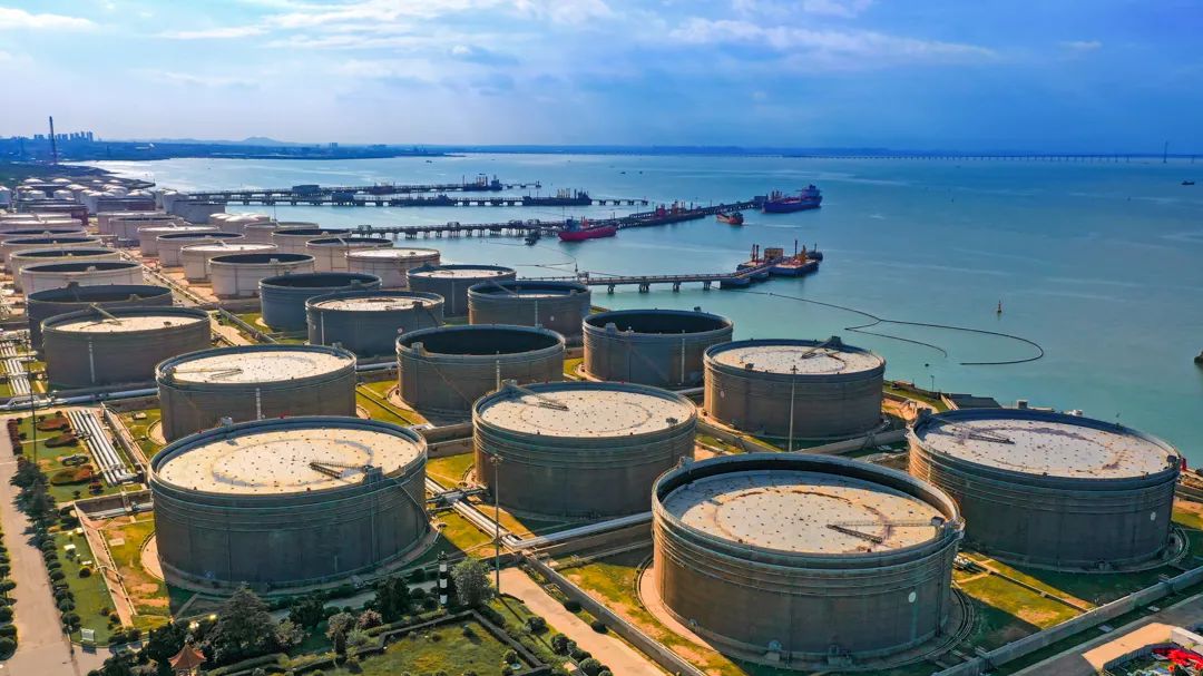 为党筑基为国守脉