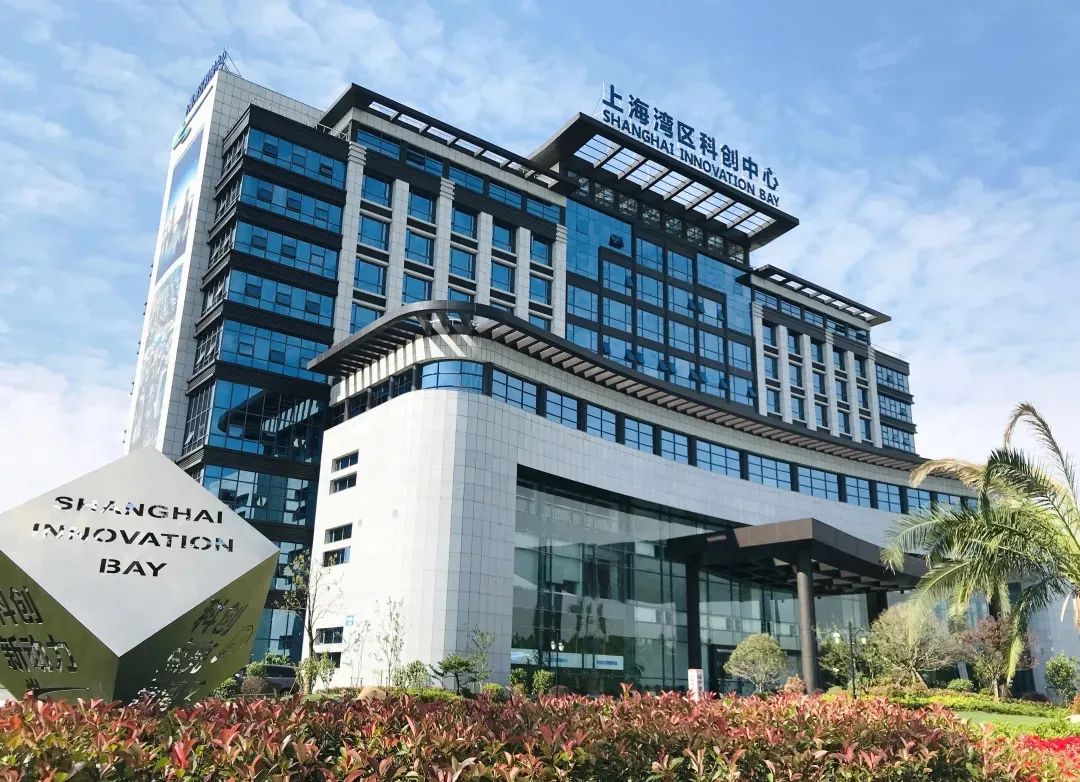 金山这里"蝶变"的领路人,背后的故事你知道吗?