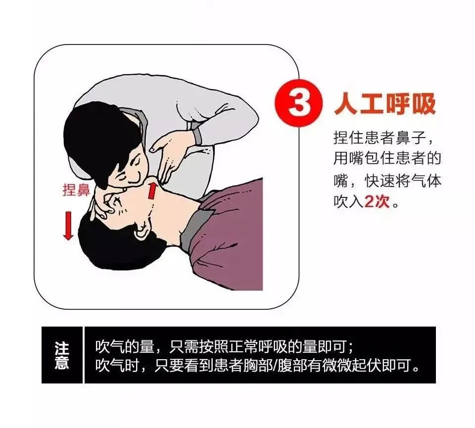 点赞南昌大学师生教科书式急救