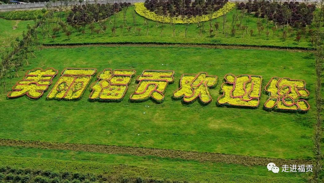 转发幸福之城美丽蝶变福贡县美丽县城和卫生县城创建工作专题片