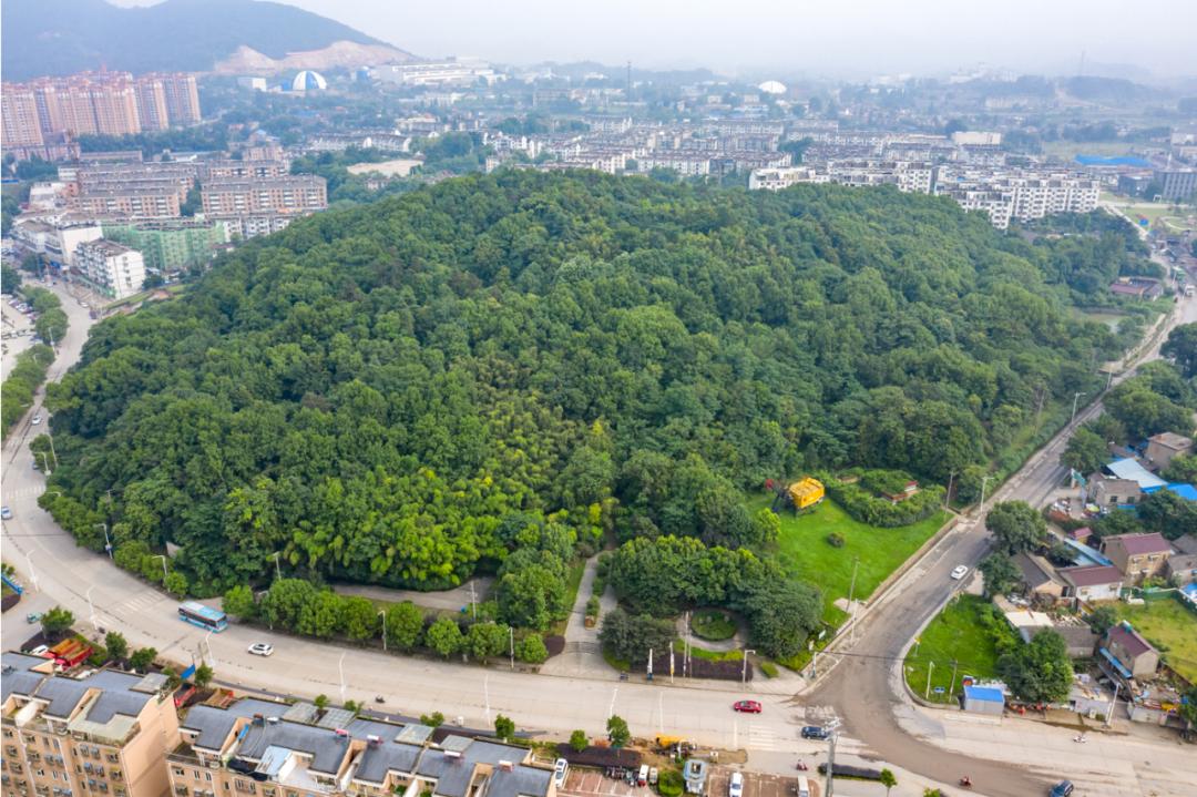 从1975年分到南山矿上班,陈启贵已在向山镇生活了40多年,亲眼见证了