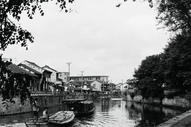 柳条摇曳微风轻拂走在春申塘堤岸边于一体的多功能景观河道成为集防汛