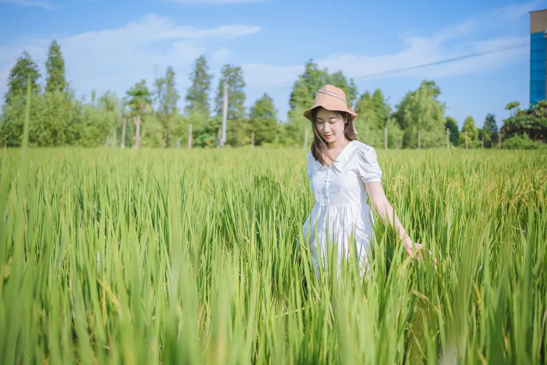 一起走进南海里水镇大洲村看田园美景吧!