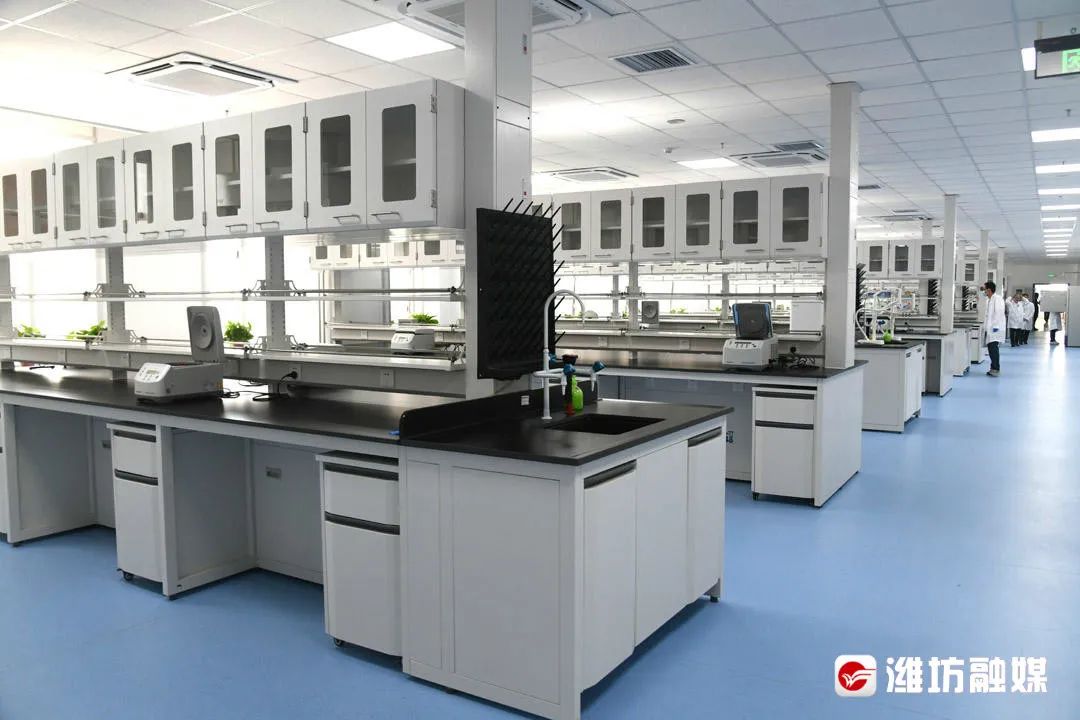 农业山东省实验室进行了揭牌,并发布了农业育种等部分最新科研成果