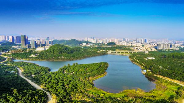 但逢丽日,徜徉在大顶岭绿道向西望去,公明水库的一泓碧波便映入眼帘