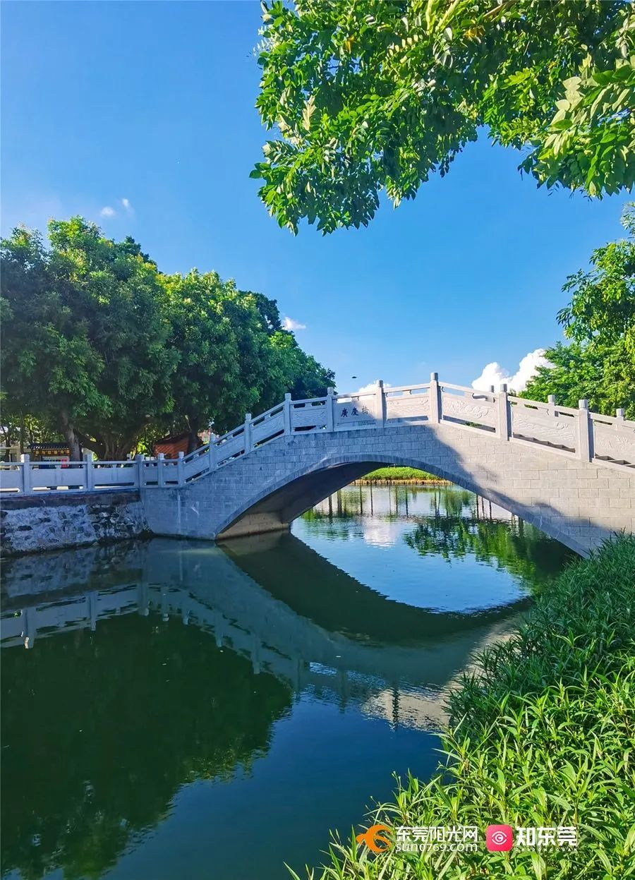 东莞又一"网红村"藏不住了!