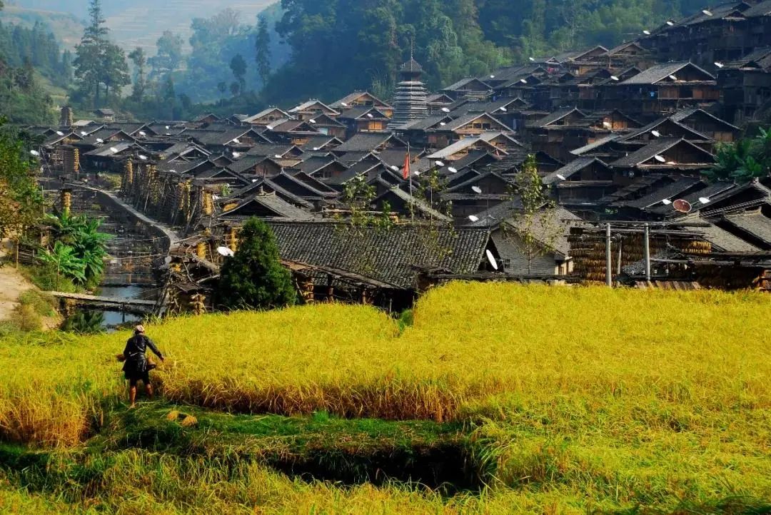 乡游黔中│​禾香深处有人家,探秘占里侗寨_澎湃号·政务_澎湃新闻-