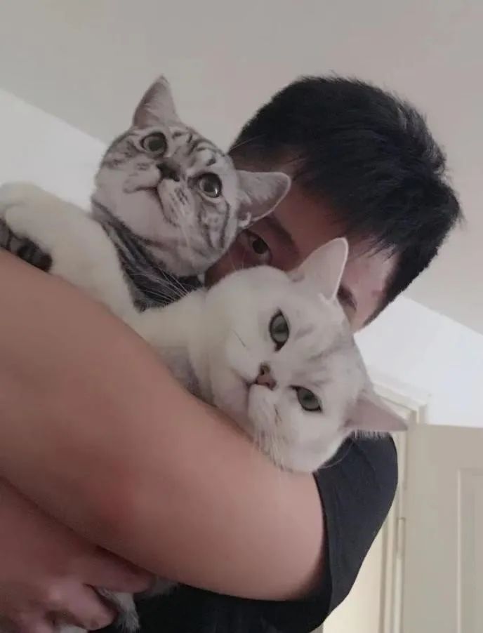 猫咪版 老友记 我的朋友 是我自己选择的家人