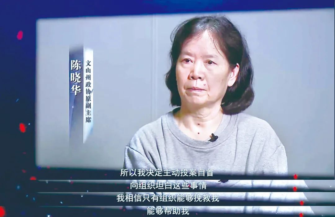 (云南省纪委监委宣传部供图)  1999年,陈晓华在任文山县副县长时,认识