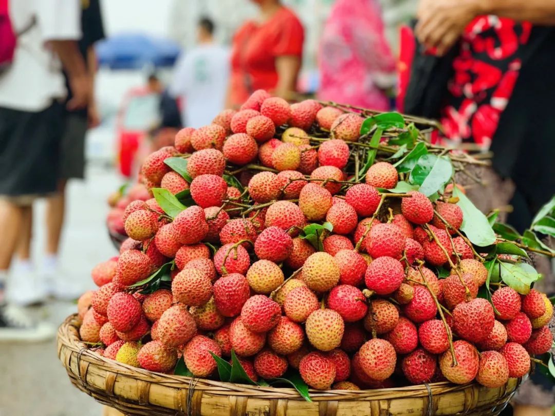 馋哭~合江荔枝甜蜜上市!给你邮寄到家好不好呀