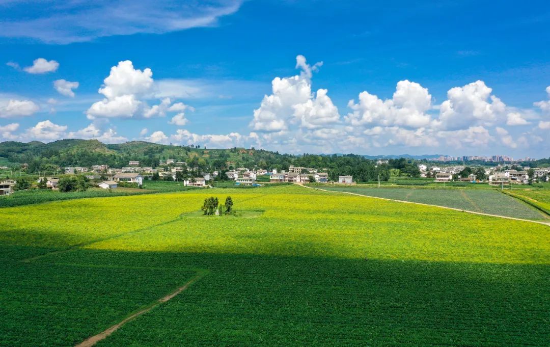 大地绿色底色越来越浓绿色经济持续发展绿色发展深入人心威宁正沿着