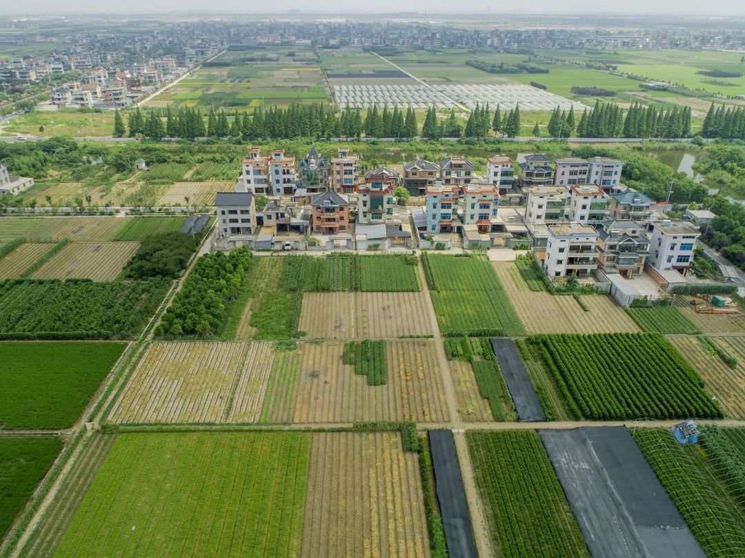 快来参加!义蓬"美丽之旅"摄影大赛,就等你来