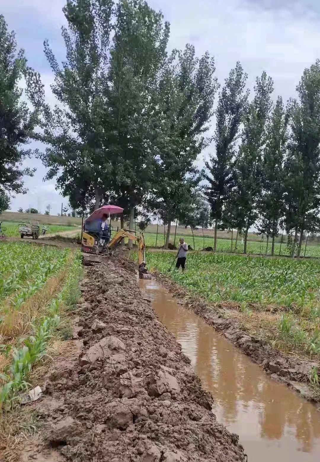 【创建文明城 新河在行动】这些乡村干得真带劲！_澎湃号·政务_澎湃新闻-The Paper