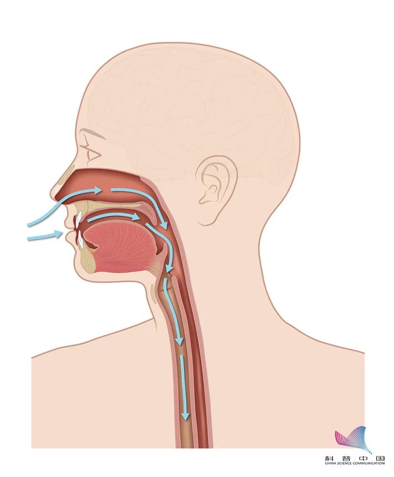 当心经常用嘴呼吸千万别不当回事危害超乎想象