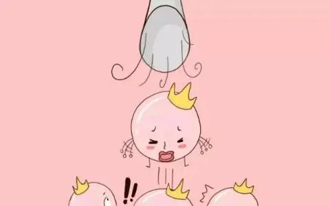 雌激素这么重要那我多补补才好