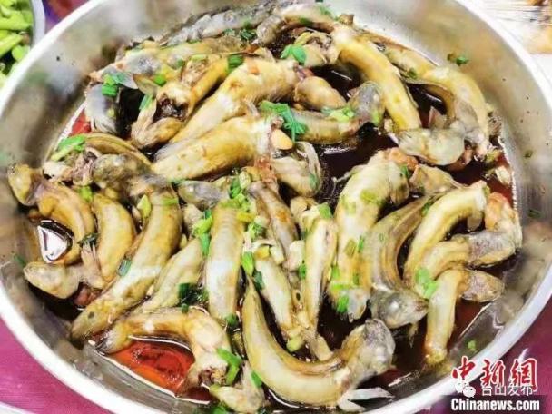 实为中华乌塘鳢,又名涂鳗,杜鳗,肚鳗,蟹虎鱼