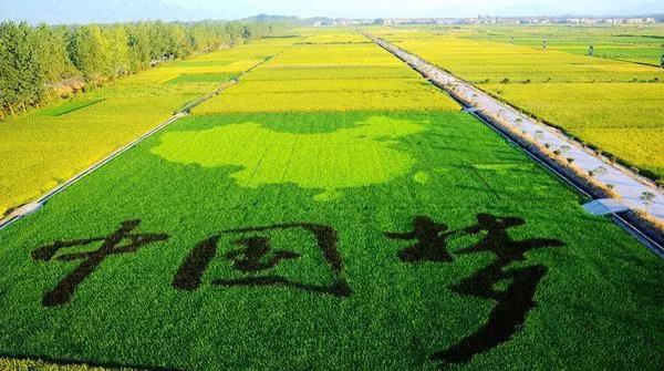 酉陽法院