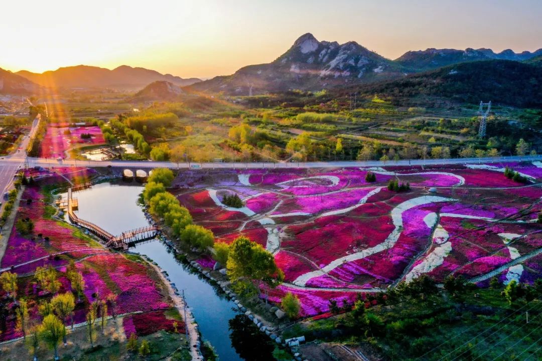 文登"真金白银"支持社会资本参与乡村振兴!