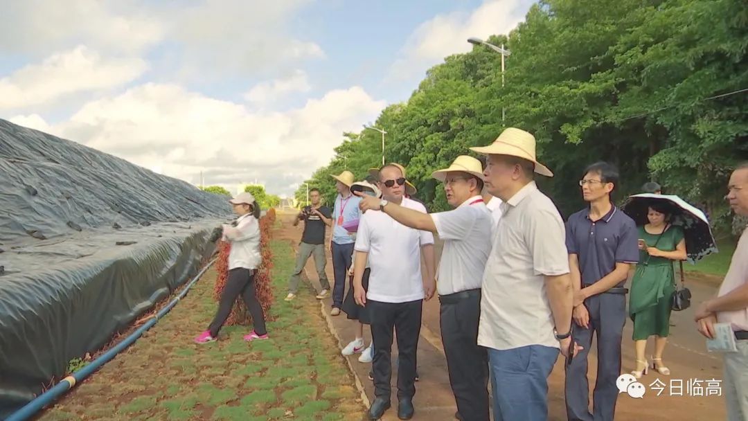 评估组一行先后到县垃圾填埋厂和垃圾转运站,县人民医院,临高第二中学