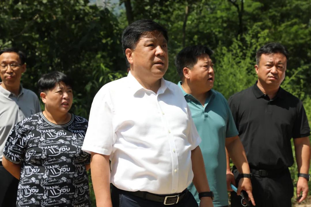 县委书记彭勇民到乡镇调研检查防汛和农村人居环境整治工作