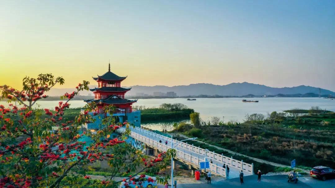 佛山蝶变采风团走进三水,就在本周日!