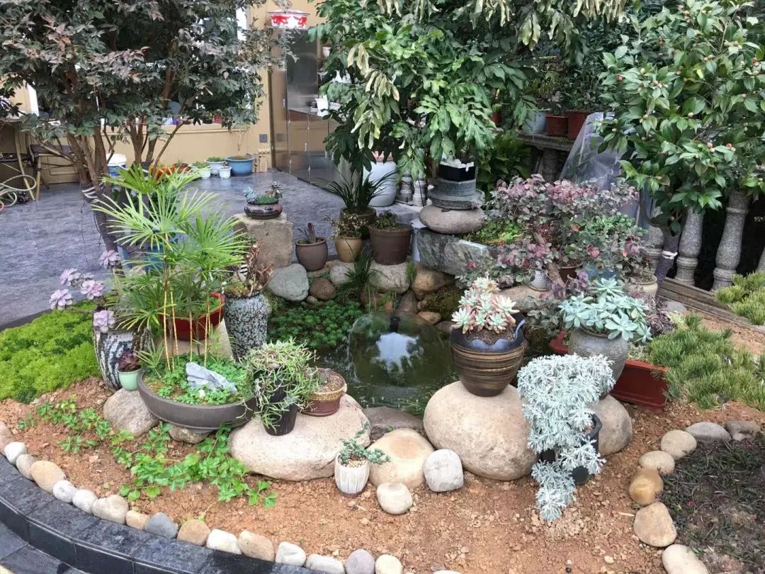 美丽庭院扮靓自家小院子建设龙湾大院子三