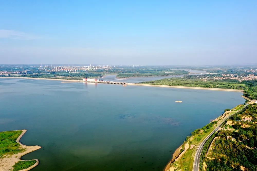 生态孟津白鹭翩跹而至孟津这里风景如画