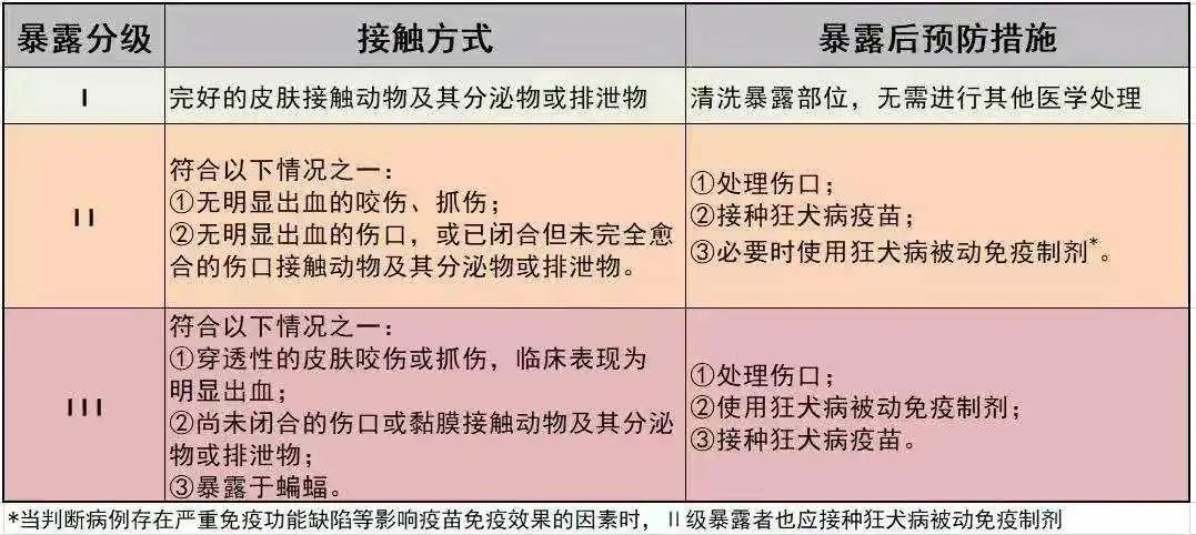 关于被狗咬伤知道这些能救命内附闵行区狂犬病疫苗接种信息