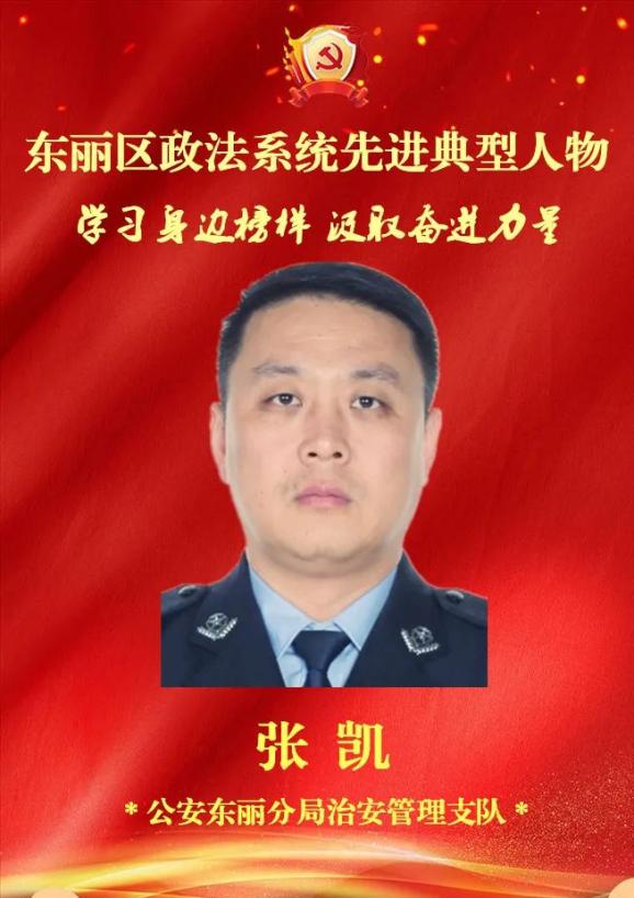 政法队伍教育整顿英模选树公安东丽分局张凯