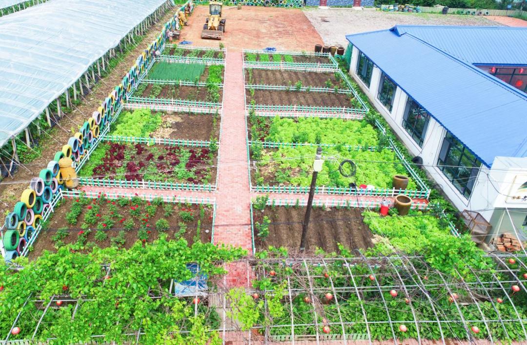 巾帼生态小菜园亮相了!(2)