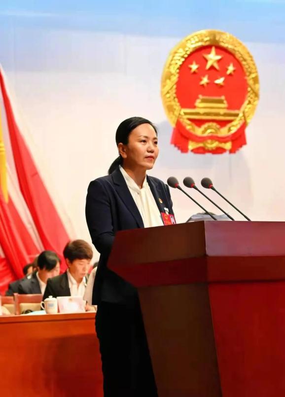 代县长狄莎代表县政府向大会作政府工作报告.