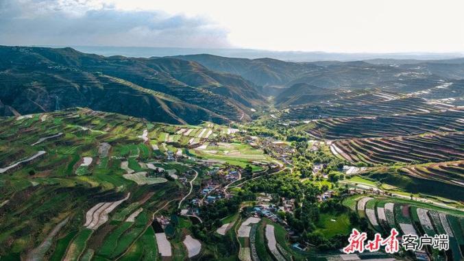 永靖县舟曲县西和县岷县庆城县泾川县秦安县景泰县武威市凉州区临泽县