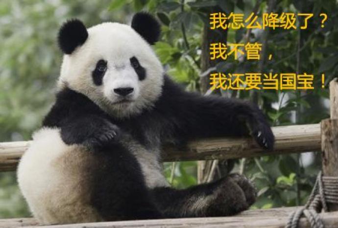 相关新闻来源:工人日报客户端熊猫降级了,但它依然是国宝,这世界上
