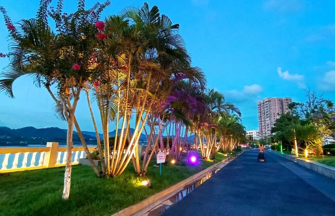 建设美丽圩镇六都镇统合六大要素聚力打造蝶变江滨新城